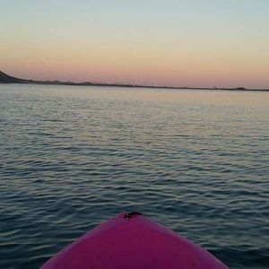 Meet your Posher, Cathy